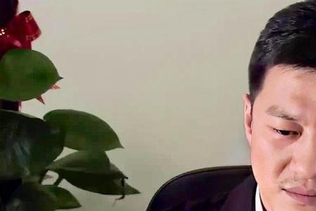 纯真年代厉家驹考上大学哪一集
