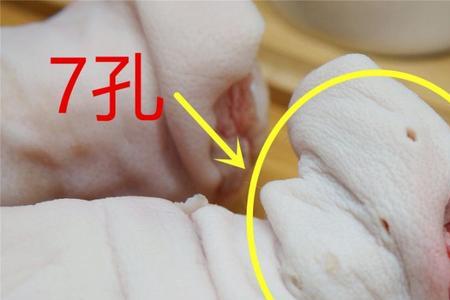 猪脚前蹄和后蹄哪个走路多