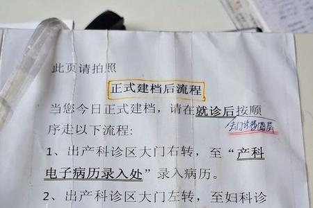 大同生孩子建档流程