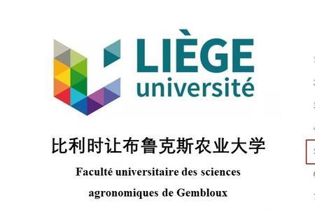 比利时世界排名第几