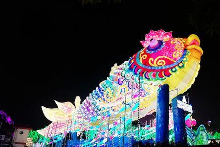 新乡市区哪里有灯会