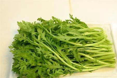 茼蒿空心还是实心