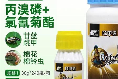 洗衣粉杀跳甲的方法