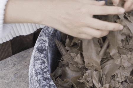 废纸养蘑菇能吃吗