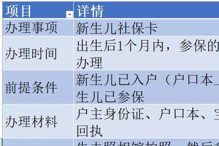 单身生孩子要哪些手续