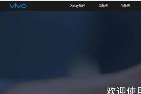 vivo应用登录不了了怎么办