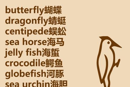 foal和pony的区别