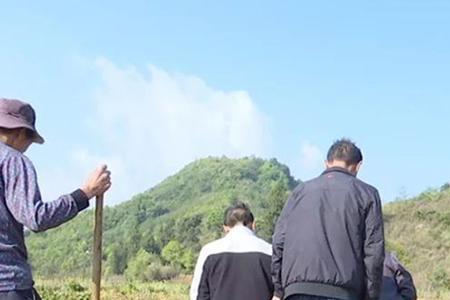 孙子可以给爷爷迁坟吗