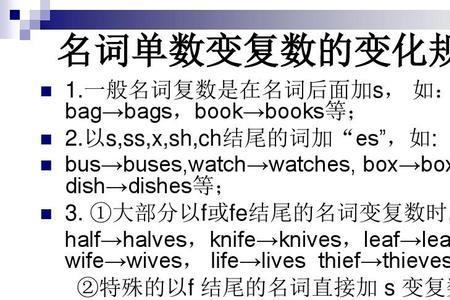 羊肉英语复数
