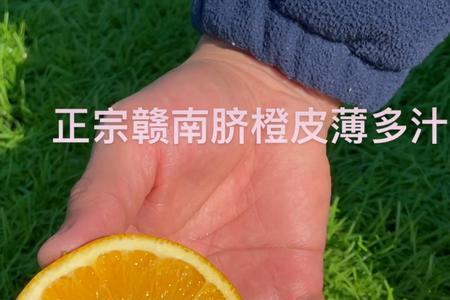 赣南脐橙最正宗的县