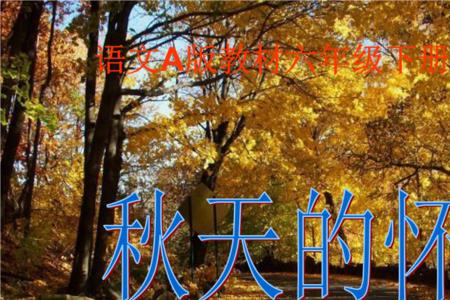 秋天的怀念文中的四字短语