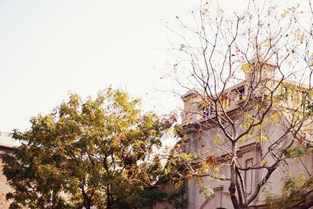 为什么叫庆王府