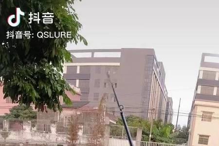 在广东话里钓是什么意思