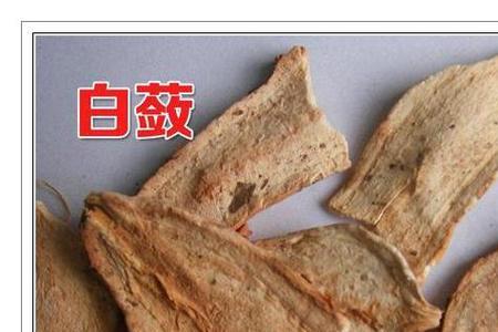 三大白的读音