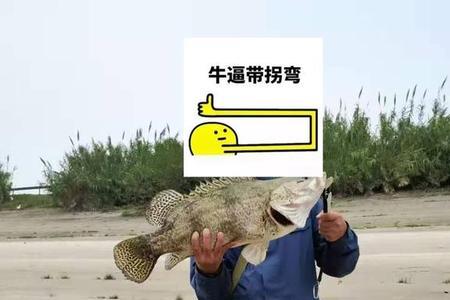 立冬了还可以钓桂鱼吗