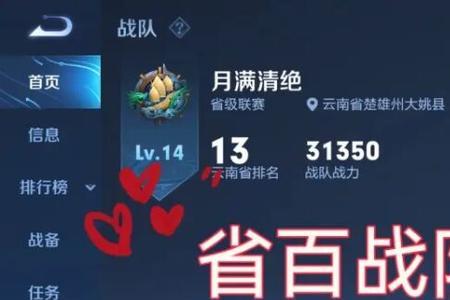 王者荣耀战队的亚军什么意思