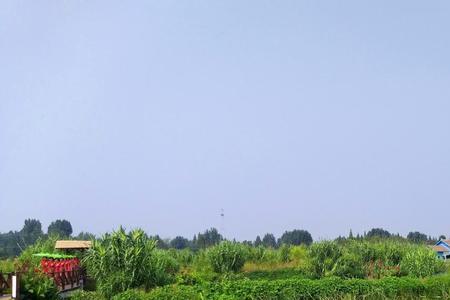 内朱湖多深