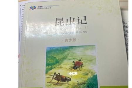 昆虫记西绪弗斯内容概括