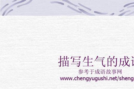 他生气了是神态描写吗