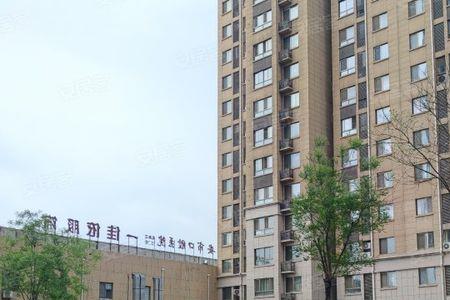 泰安市世纪康城属于哪个区