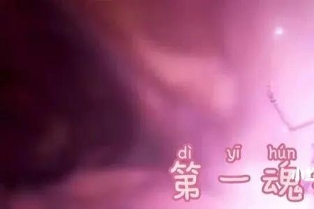小舞的两块魂骨叫什么
