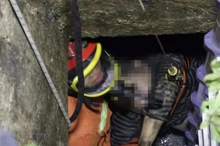 发现狗掉到井里可以报警吗