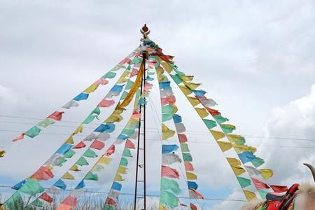 内蒙古倒淌河属于哪里