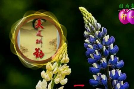 醉人的歌完整版原唱
