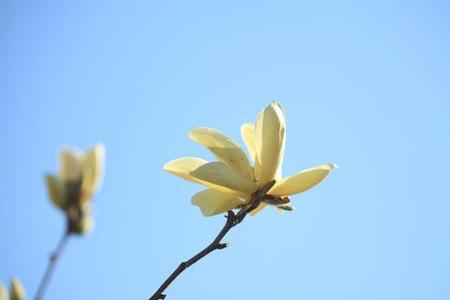 形容对生活充满希望的诗句