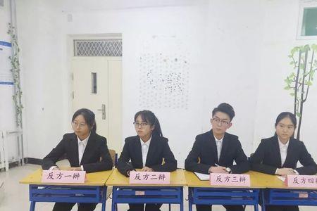 辩论赛总辩是什么