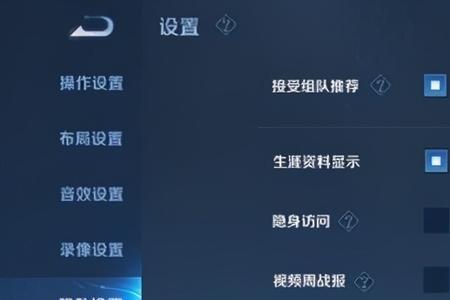 王者怎么一直隐身上号