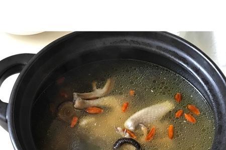 鸽子炖平菇做法