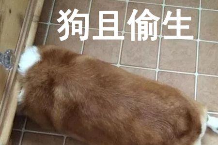 苟活于世的反义词
