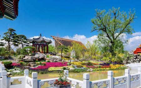 北京世清八景文化发展有限公司