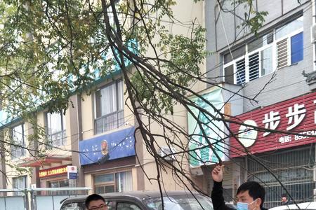 小学护校队主要是干什么的