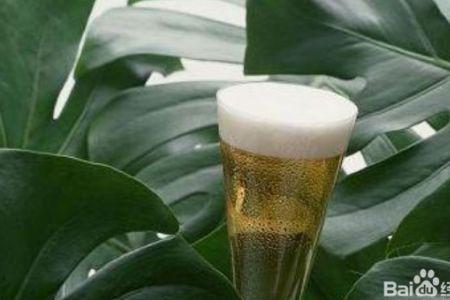 啤酒浇花的正确方法