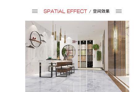 宏陶陶瓷tpg和tpj哪个好
