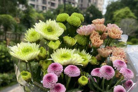 云南空运的花怎么处理