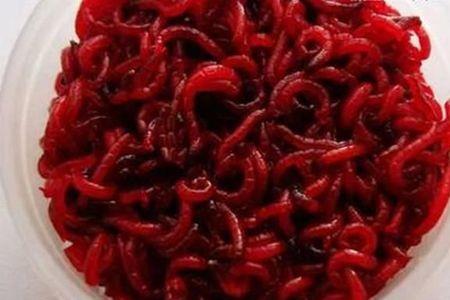 春季红虫保存方法
