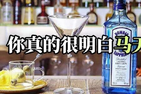 足以为酒的以为是什么意思
