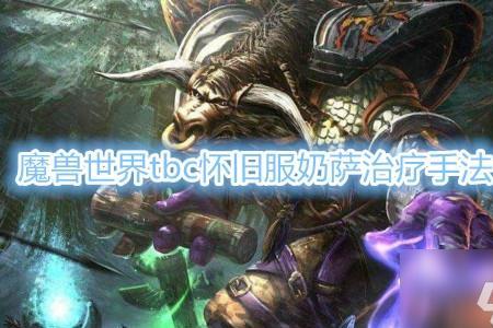 魔兽世界tbc奶萨制皮选哪个分支