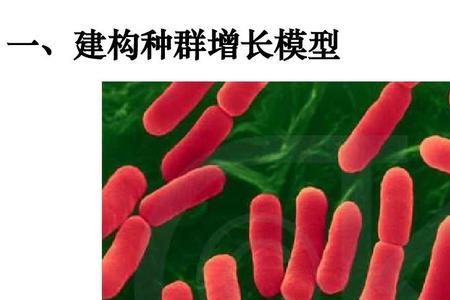 大肠杆菌的结构