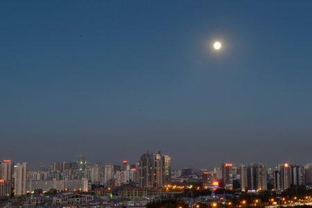 明月照九州诗句