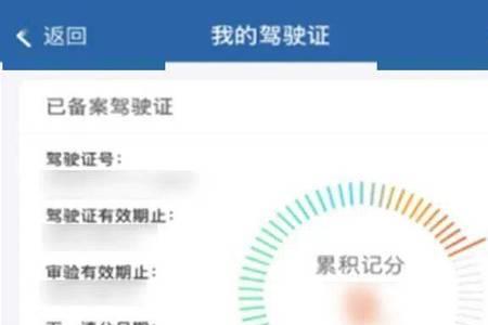 驾驶证更新申请啥意思