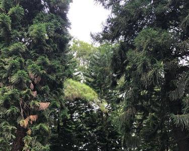 柳宗元墓地在西安哪里
