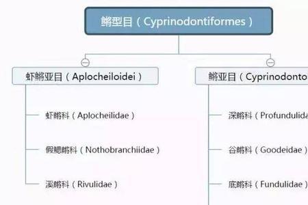 hid是什么氨基酸