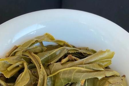 茶底是什么