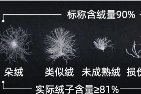 90白鸭绒羽绒服充绒量50是啥意思