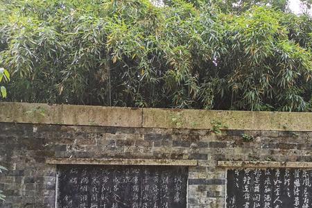 陆游沈园共几首