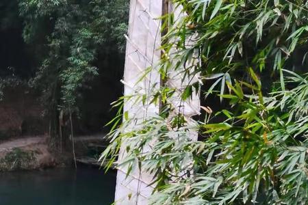 长江人家播出时间